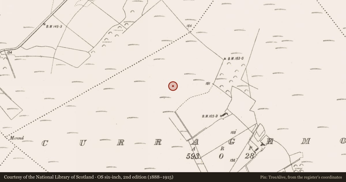 Ordnance Survey six-inch map, 2nd edition (1888–1915) covering the location of Road - class 3 togher, Curraghmore, County Offaly, with a pin at the register's coordinates