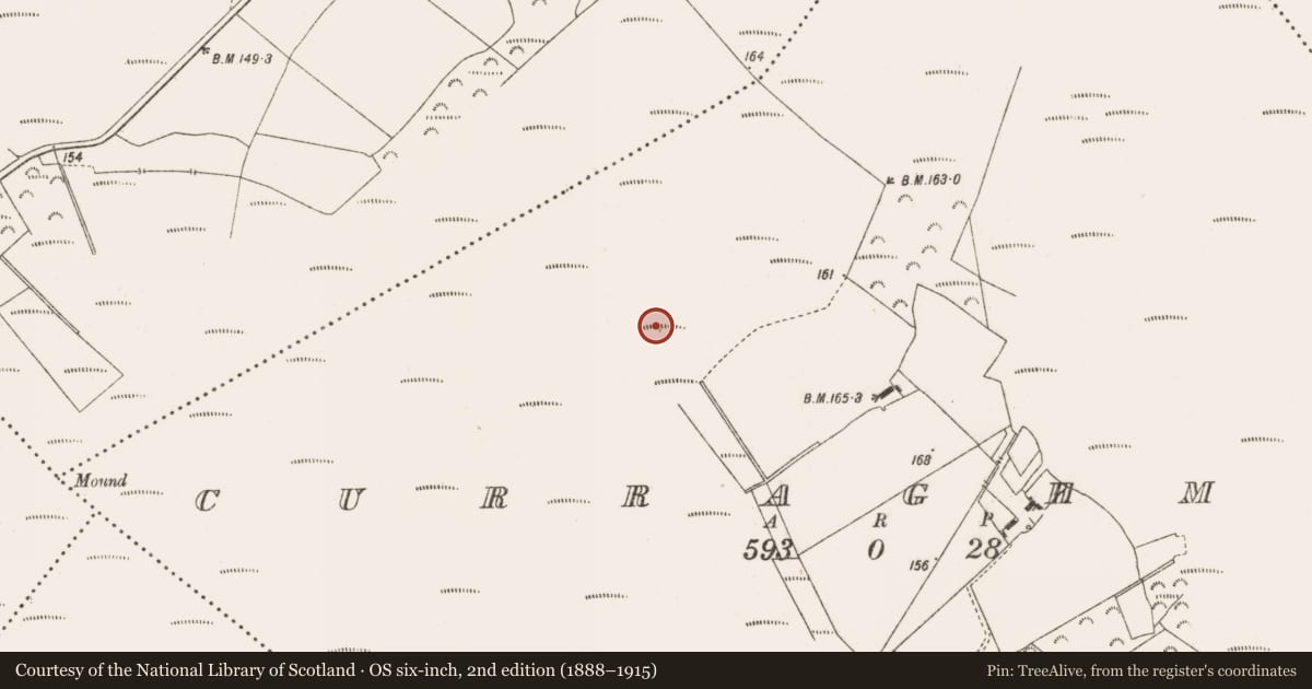 Ordnance Survey six-inch map, 2nd edition (1888–1915) covering the location of Road - class 3 togher, Curraghmore, County Offaly, with a pin at the register's coordinates