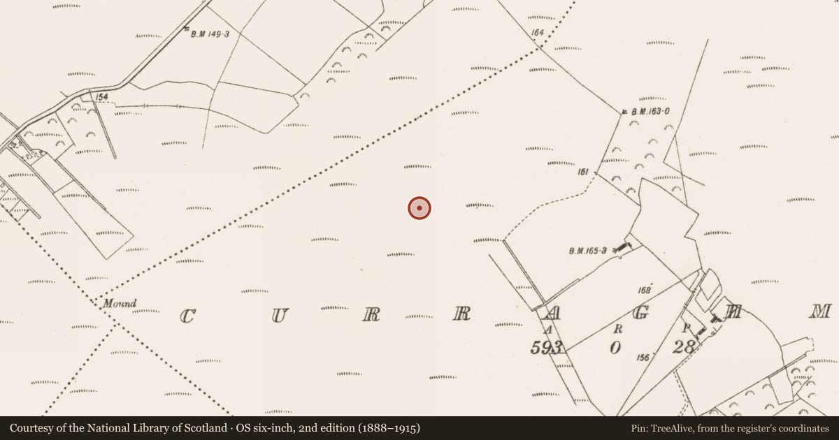 Ordnance Survey six-inch map, 2nd edition (1888–1915) covering the location of Road - class 3 togher, Curraghmore, County Offaly, with a pin at the register's coordinates