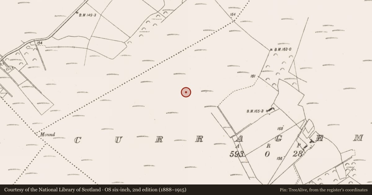 Ordnance Survey six-inch map, 2nd edition (1888–1915) covering the location of Road - class 3 togher, Curraghmore, County Offaly, with a pin at the register's coordinates