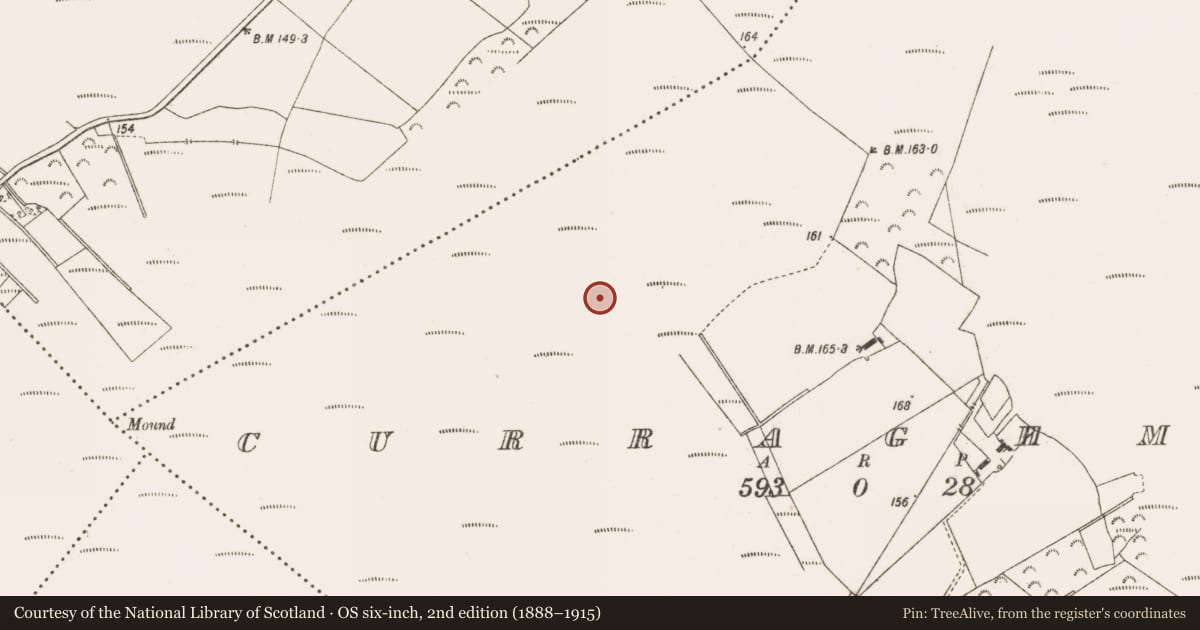 Ordnance Survey six-inch map, 2nd edition (1888–1915) covering the location of Road - class 2 togher, Curraghmore, County Offaly, with a pin at the register's coordinates