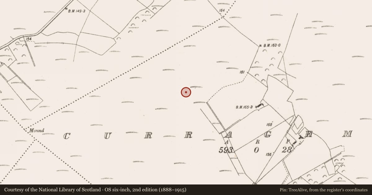 Ordnance Survey six-inch map, 2nd edition (1888–1915) covering the location of Road - class 2 togher, Curraghmore, County Offaly, with a pin at the register's coordinates