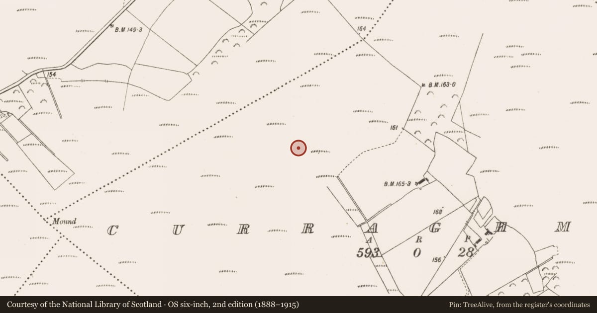 Ordnance Survey six-inch map, 2nd edition (1888–1915) covering the location of Road - class 3 togher, Curraghmore, County Offaly, with a pin at the register's coordinates