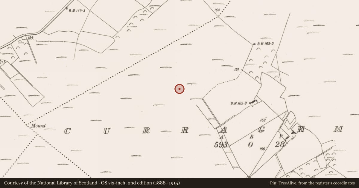 Ordnance Survey six-inch map, 2nd edition (1888–1915) covering the location of Road - class 3 togher, Curraghmore, County Offaly, with a pin at the register's coordinates