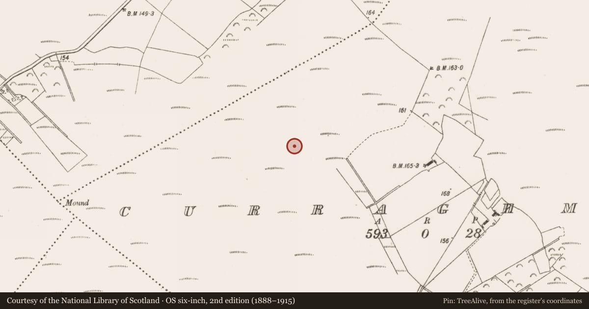 Ordnance Survey six-inch map, 2nd edition (1888–1915) covering the location of Road - class 3 togher, Curraghmore, County Offaly, with a pin at the register's coordinates