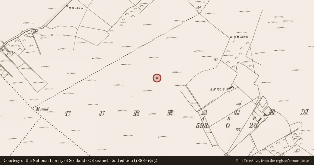 Ordnance Survey six-inch map, 2nd edition (1888–1915) covering the location of Road - class 3 togher, Curraghmore, County Offaly, with a pin at the register's coordinates