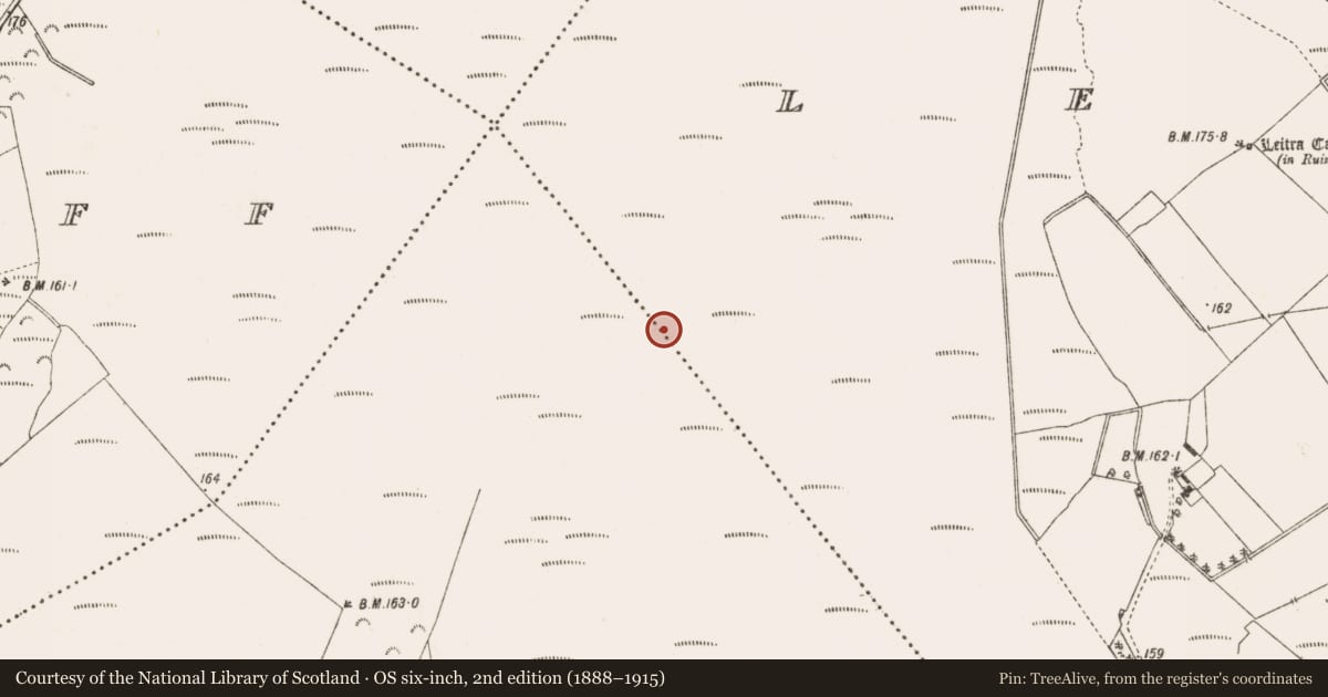 Ordnance Survey six-inch map, 2nd edition (1888–1915) covering the location of Road - class 3 togher, Leitra, County Offaly, with a pin at the register's coordinates