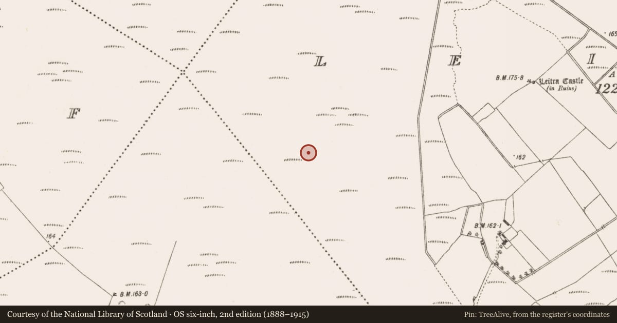 Ordnance Survey six-inch map, 2nd edition (1888–1915) covering the location of Road - class 1 togher, Leitra, County Offaly, with a pin at the register's coordinates