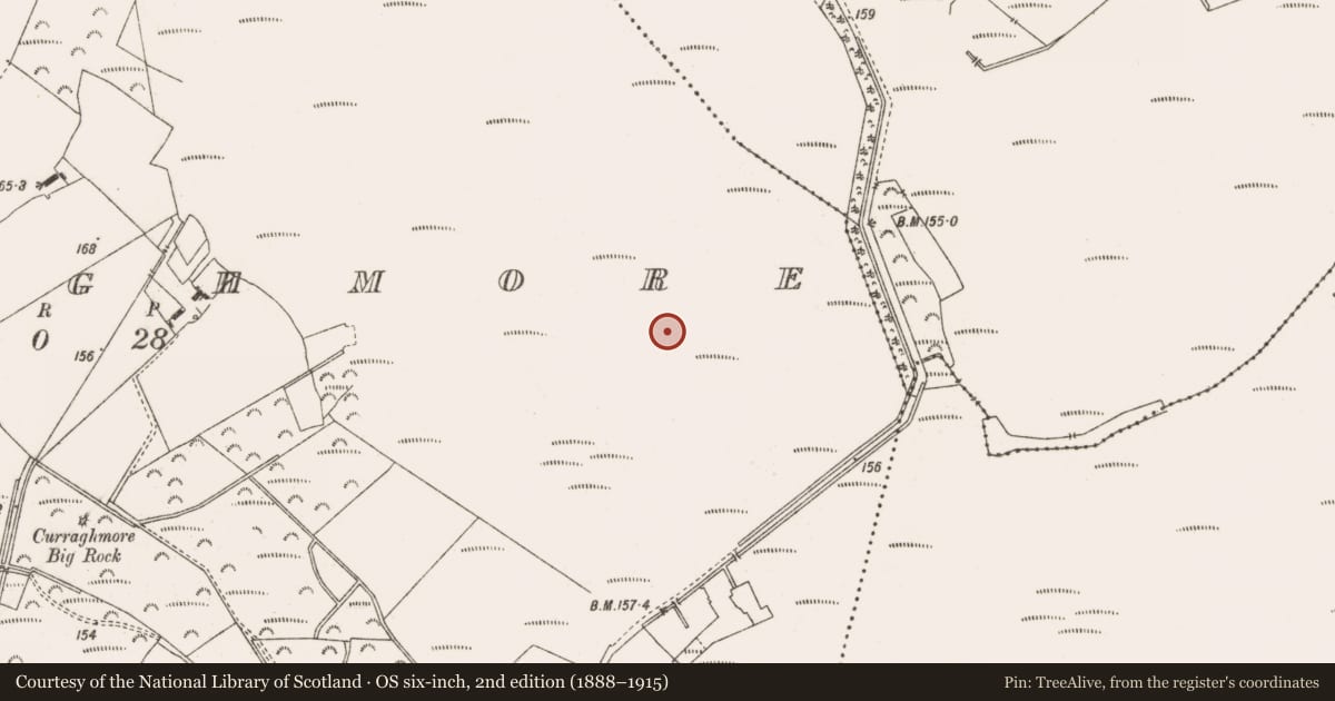 Ordnance Survey six-inch map, 2nd edition (1888–1915) covering the location of Structure - peatland, Curraghmore, County Offaly, with a pin at the register's coordinates