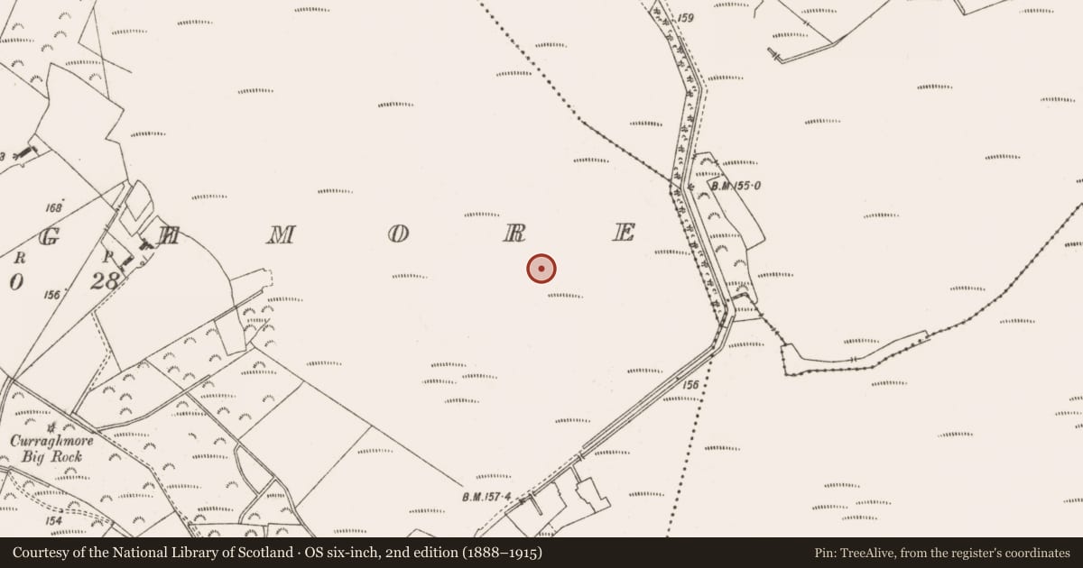 Ordnance Survey six-inch map, 2nd edition (1888–1915) covering the location of Structure - peatland, Curraghmore, County Offaly, with a pin at the register's coordinates