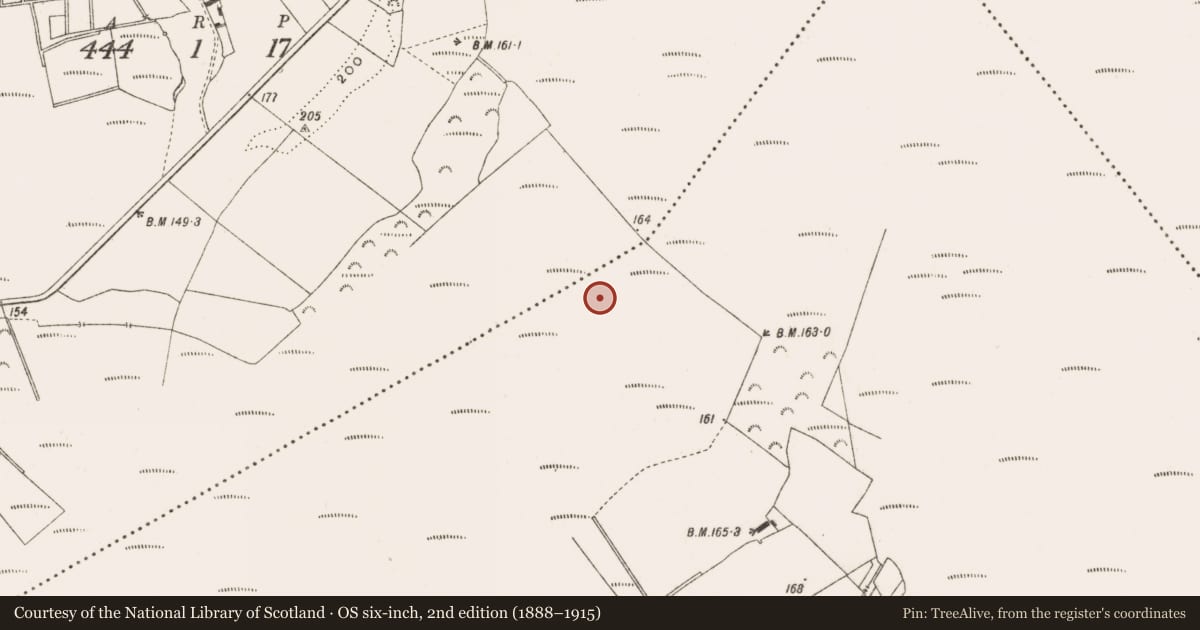 Ordnance Survey six-inch map, 2nd edition (1888–1915) covering the location of Road - class 3 togher, Curraghmore, County Offaly, with a pin at the register's coordinates