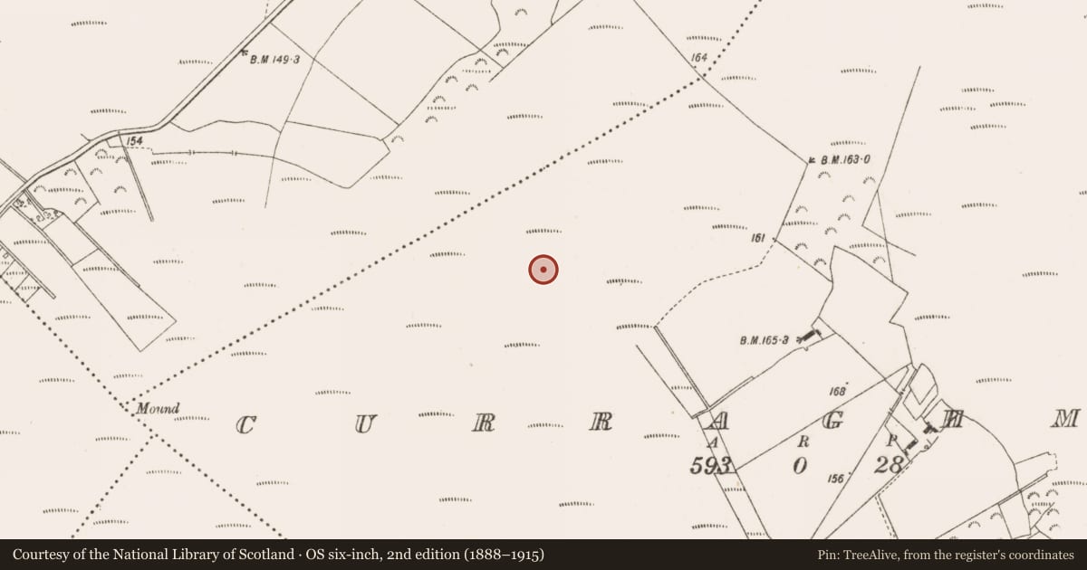 Ordnance Survey six-inch map, 2nd edition (1888–1915) covering the location of Road - class 2 togher, Curraghmore, County Offaly, with a pin at the register's coordinates