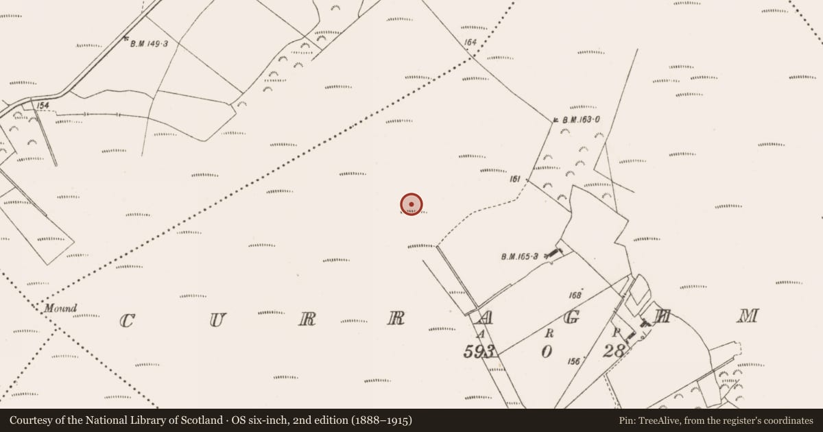 Ordnance Survey six-inch map, 2nd edition (1888–1915) covering the location of Structure - peatland, Curraghmore, County Offaly, with a pin at the register's coordinates