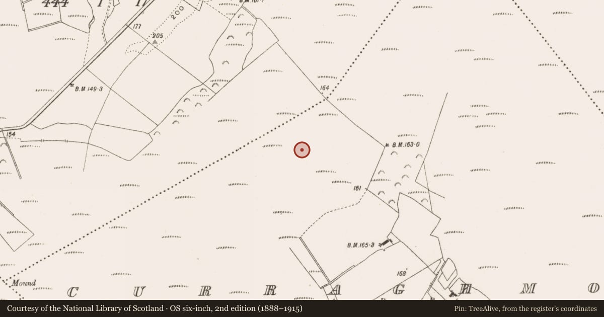 Ordnance Survey six-inch map, 2nd edition (1888–1915) covering the location of Road - class 3 togher, Curraghmore, County Offaly, with a pin at the register's coordinates
