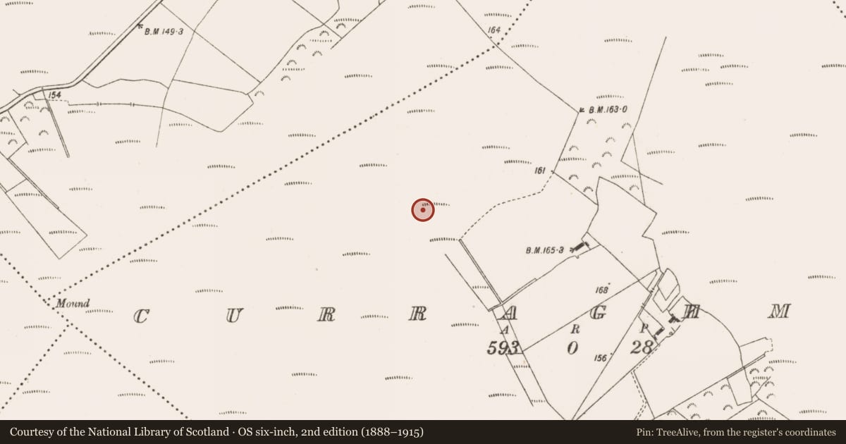 Ordnance Survey six-inch map, 2nd edition (1888–1915) covering the location of Road - class 3 togher, Curraghmore, County Offaly, with a pin at the register's coordinates