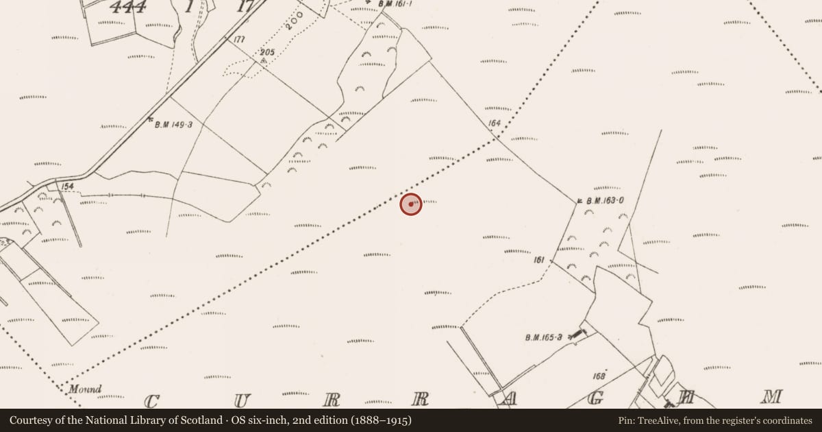 Ordnance Survey six-inch map, 2nd edition (1888–1915) covering the location of Road - class 3 togher, Curraghmore, County Offaly, with a pin at the register's coordinates