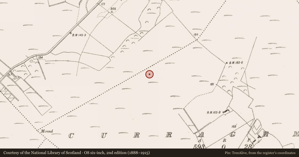 Ordnance Survey six-inch map, 2nd edition (1888–1915) covering the location of Road - class 3 togher, Curraghmore, County Offaly, with a pin at the register's coordinates