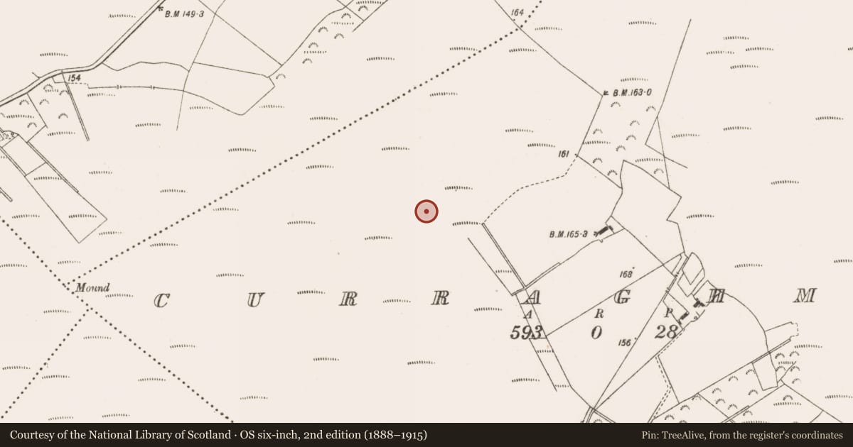 Ordnance Survey six-inch map, 2nd edition (1888–1915) covering the location of Road - class 3 togher, Curraghmore, County Offaly, with a pin at the register's coordinates