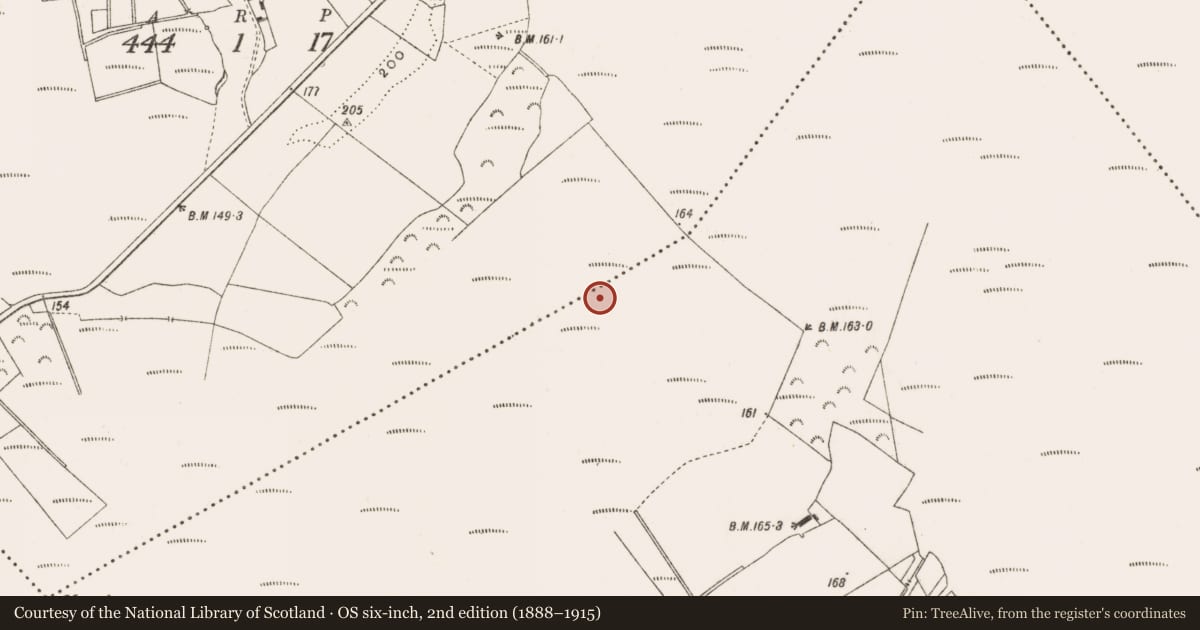 Ordnance Survey six-inch map, 2nd edition (1888–1915) covering the location of Road - class 2 togher, Cloniff, Curraghmore, County Offaly, with a pin at the register's coordinates