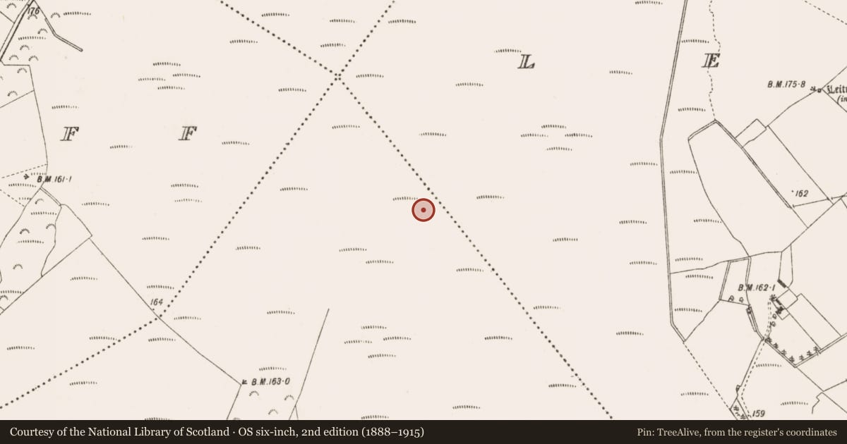 Ordnance Survey six-inch map, 2nd edition (1888–1915) covering the location of Road - class 3 togher, Curraghmore, County Offaly, with a pin at the register's coordinates