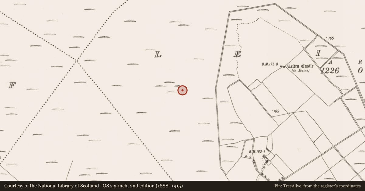 Ordnance Survey six-inch map, 2nd edition (1888–1915) covering the location of Road - class 3 togher, Leitra, County Offaly, with a pin at the register's coordinates