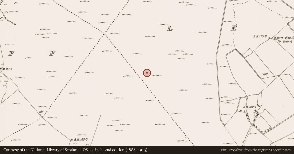 Ordnance Survey six-inch map, 2nd edition (1888–1915) covering the location of Structure - peatland, Leitra, County Offaly, with a pin at the register's coordinates