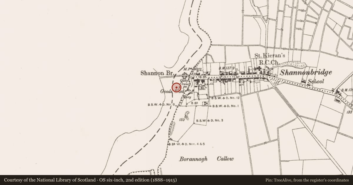Ordnance Survey six-inch map, 2nd edition (1888–1915) covering the location of Weir - fish, Cloniffeen, Raghra, County Offaly, with a pin at the register's coordinates