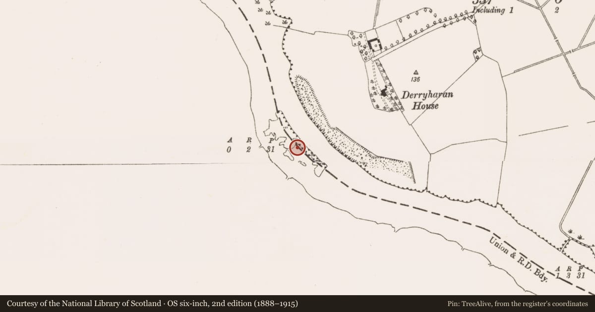 Ordnance Survey six-inch map, 2nd edition (1888–1915) covering the location of Ford, Derryholmes Or Timolin And Derryharan, County Offaly, with a pin at the register's coordinates