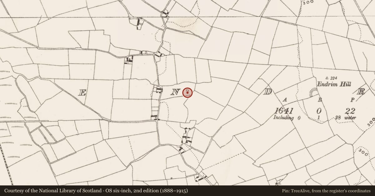 Ordnance Survey six-inch map, 2nd edition (1888–1915) covering the location of Enclosure, Endrim, County Offaly, with a pin at the register's coordinates