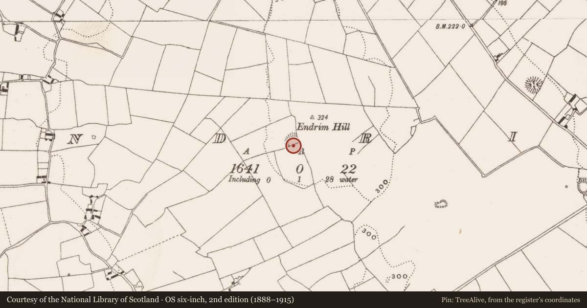 Ordnance Survey six-inch map, 2nd edition (1888–1915) covering the location of Enclosure, Endrim, County Offaly, with a pin at the register's coordinates