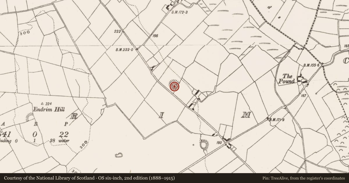 Ordnance Survey six-inch map, 2nd edition (1888–1915) covering the location of Enclosure, Endrim, County Offaly, with a pin at the register's coordinates