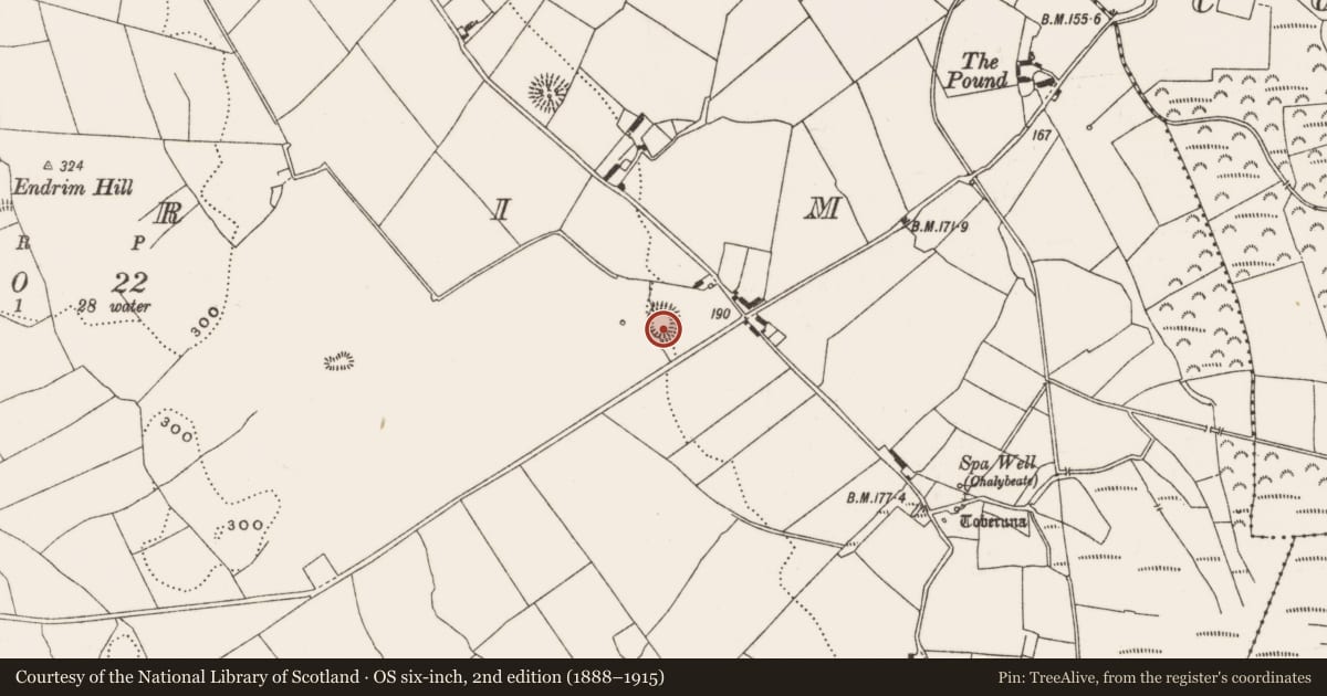 Ordnance Survey six-inch map, 2nd edition (1888–1915) covering the location of Ringfort - rath, Endrim, County Offaly, with a pin at the register's coordinates