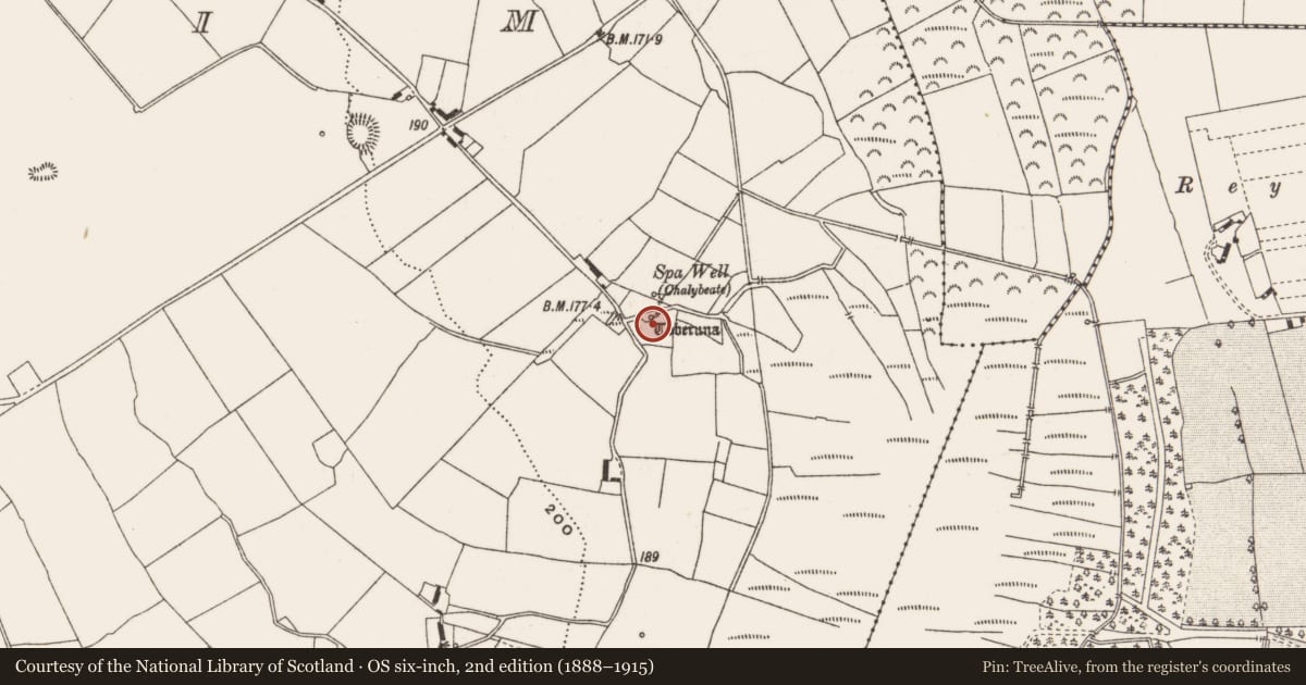 Ordnance Survey six-inch map, 2nd edition (1888–1915) covering the location of Ritual site - holy well, Endrim, County Offaly, with a pin at the register's coordinates