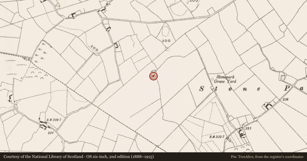 Ordnance Survey six-inch map, 2nd edition (1888–1915) covering the location of Enclosure, Endrim, County Offaly, with a pin at the register's coordinates