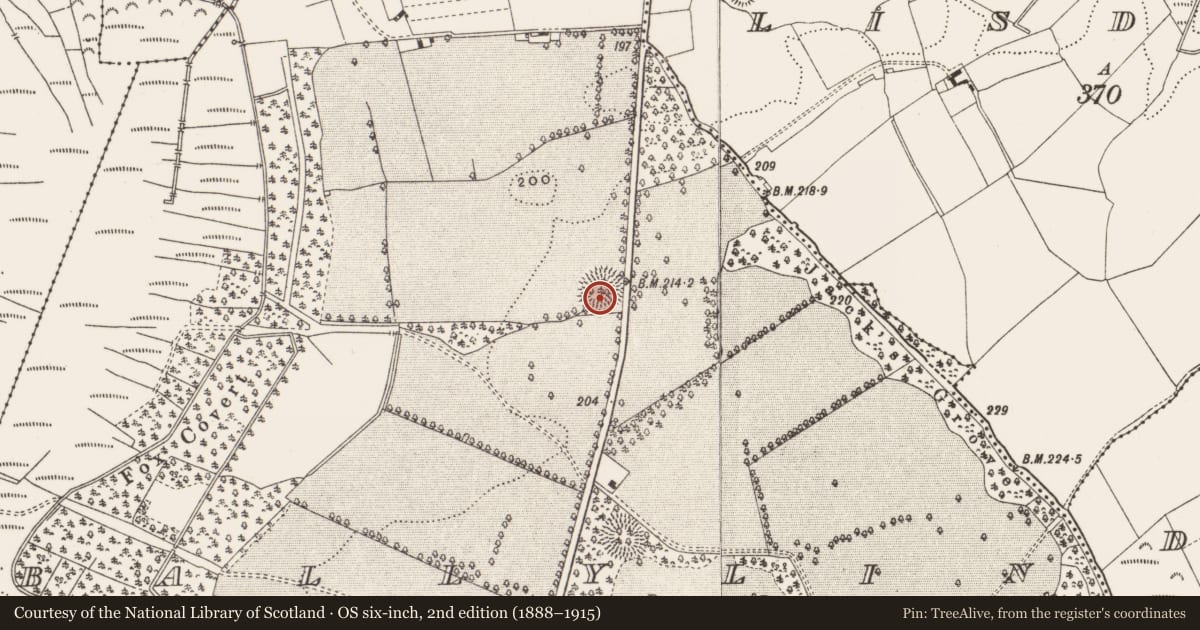 Ordnance Survey six-inch map, 2nd edition (1888–1915) covering the location of Ringfort - rath, Ballylin, County Offaly, with a pin at the register's coordinates