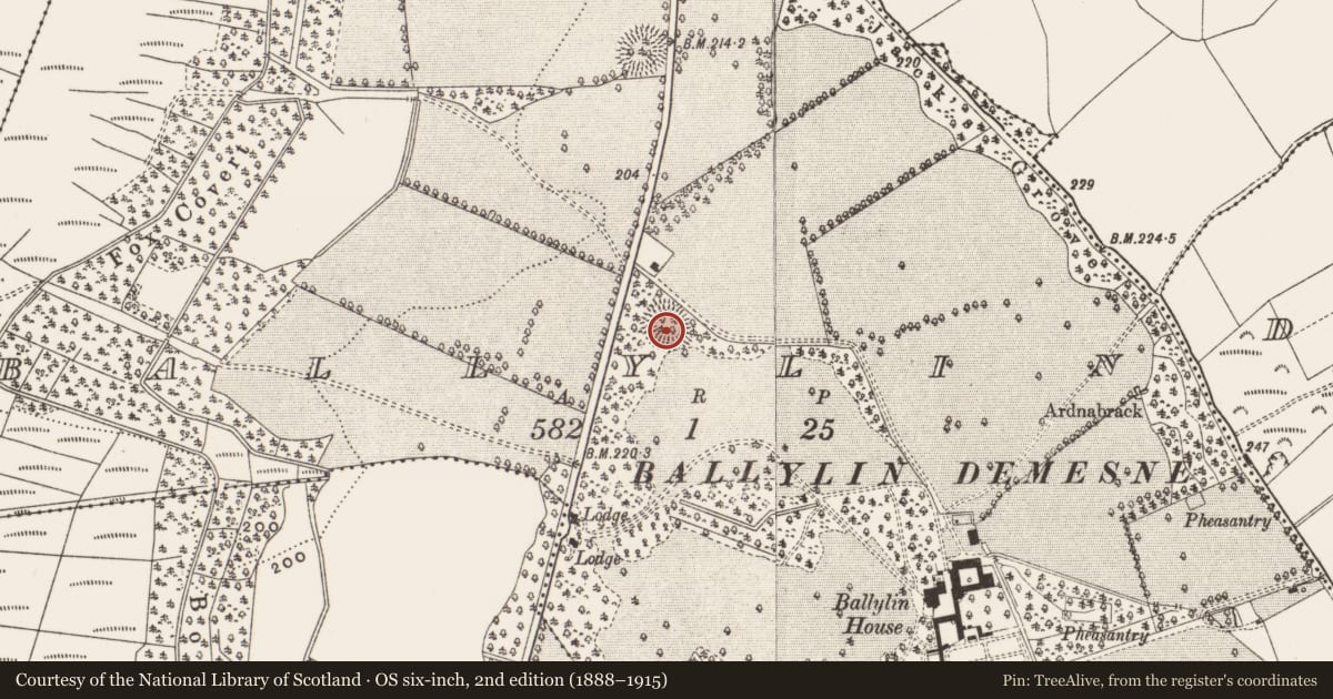 Ordnance Survey six-inch map, 2nd edition (1888–1915) covering the location of Enclosure, Ballylin, County Offaly, with a pin at the register's coordinates
