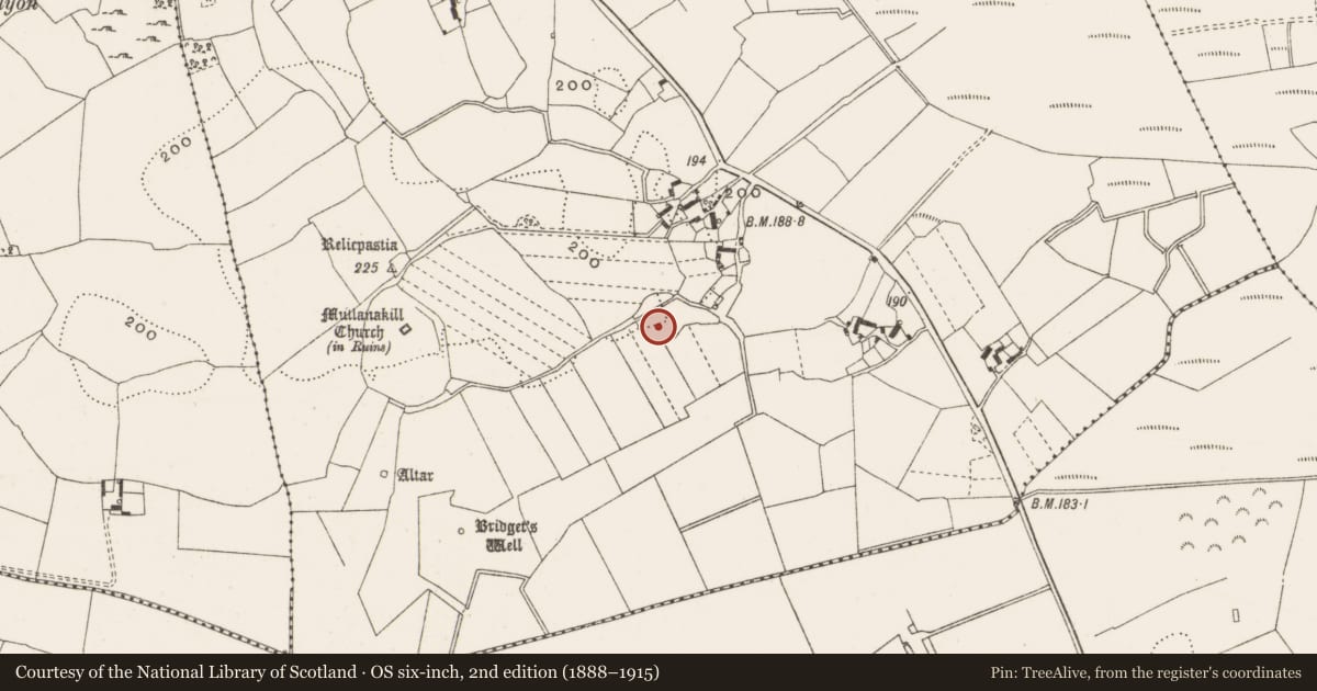Ordnance Survey six-inch map, 2nd edition (1888–1915) covering the location of Enclosure, Clonlyon Glebe, County Offaly, with a pin at the register's coordinates