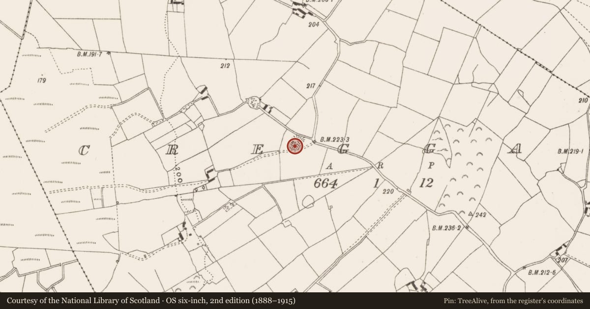 Ordnance Survey six-inch map, 2nd edition (1888–1915) covering the location of Ringfort - rath, Creggan, County Offaly, with a pin at the register's coordinates