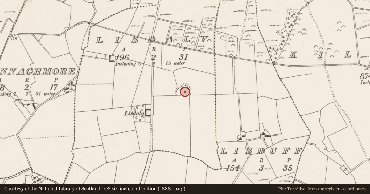 Ordnance Survey six-inch map, 2nd edition (1888–1915) covering the location of Enclosure, Lisdaly, County Offaly, with a pin at the register's coordinates
