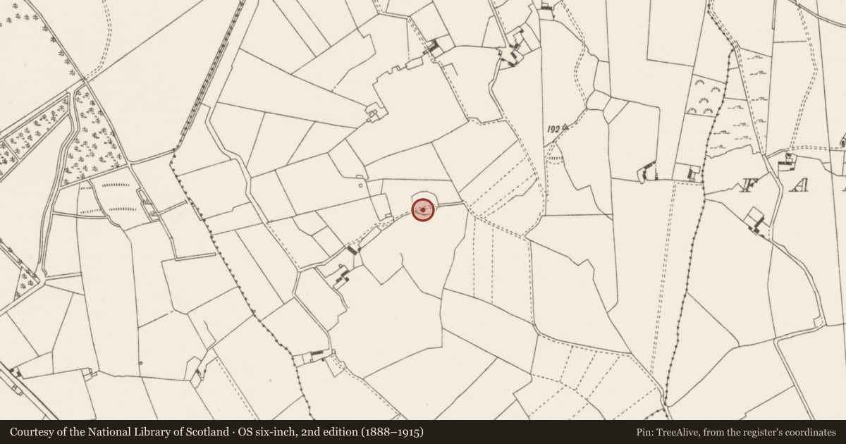 Ordnance Survey six-inch map, 2nd edition (1888–1915) covering the location of Enclosure, Faddan Beg, County Offaly, with a pin at the register's coordinates