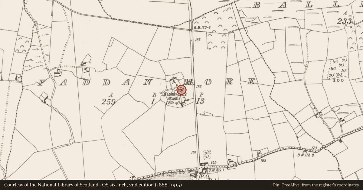 Ordnance Survey six-inch map, 2nd edition (1888–1915) covering the location of Castle - unclassified, Faddan More, County Offaly, with a pin at the register's coordinates