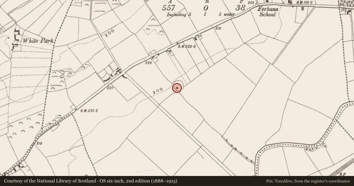 Ordnance Survey six-inch map, 2nd edition (1888–1915) covering the location of Ringfort - rath, Ballyclare, County Offaly, with a pin at the register's coordinates