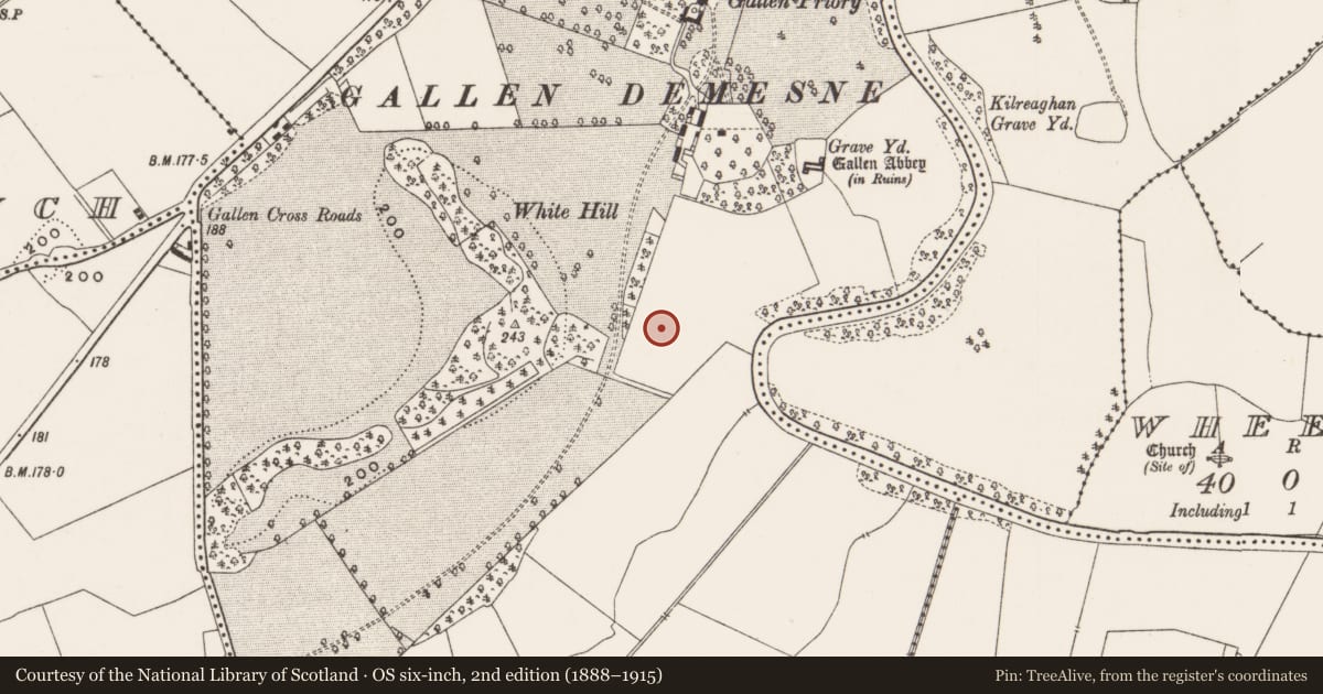 Ordnance Survey six-inch map, 2nd edition (1888–1915) covering the location of Enclosure, Gallen, County Offaly, with a pin at the register's coordinates