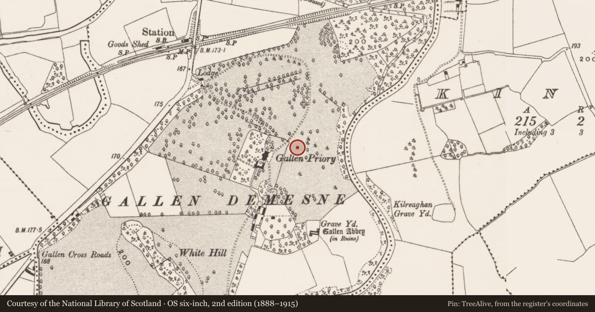 Ordnance Survey six-inch map, 2nd edition (1888–1915) covering the location of Cross-inscribed stone, Gallen, County Offaly, with a pin at the register's coordinates