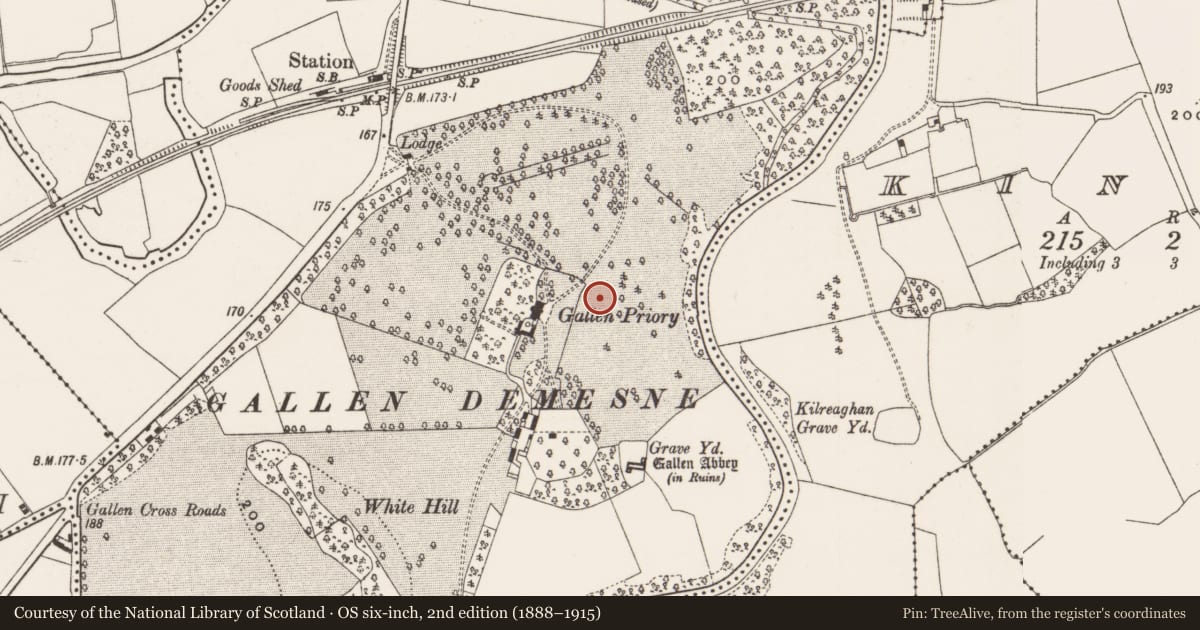 Ordnance Survey six-inch map, 2nd edition (1888–1915) covering the location of Bullaun stone, Gallen, County Offaly, with a pin at the register's coordinates