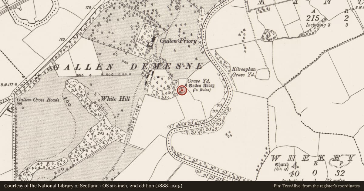 Ordnance Survey six-inch map, 2nd edition (1888–1915) covering the location of Cross-slab, Gallen, County Offaly, with a pin at the register's coordinates