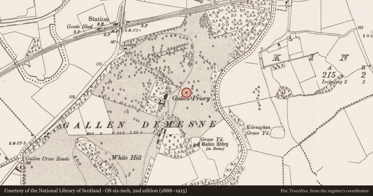 Ordnance Survey six-inch map, 2nd edition (1888–1915) covering the location of Cross-slab, Gallen, County Offaly, with a pin at the register's coordinates