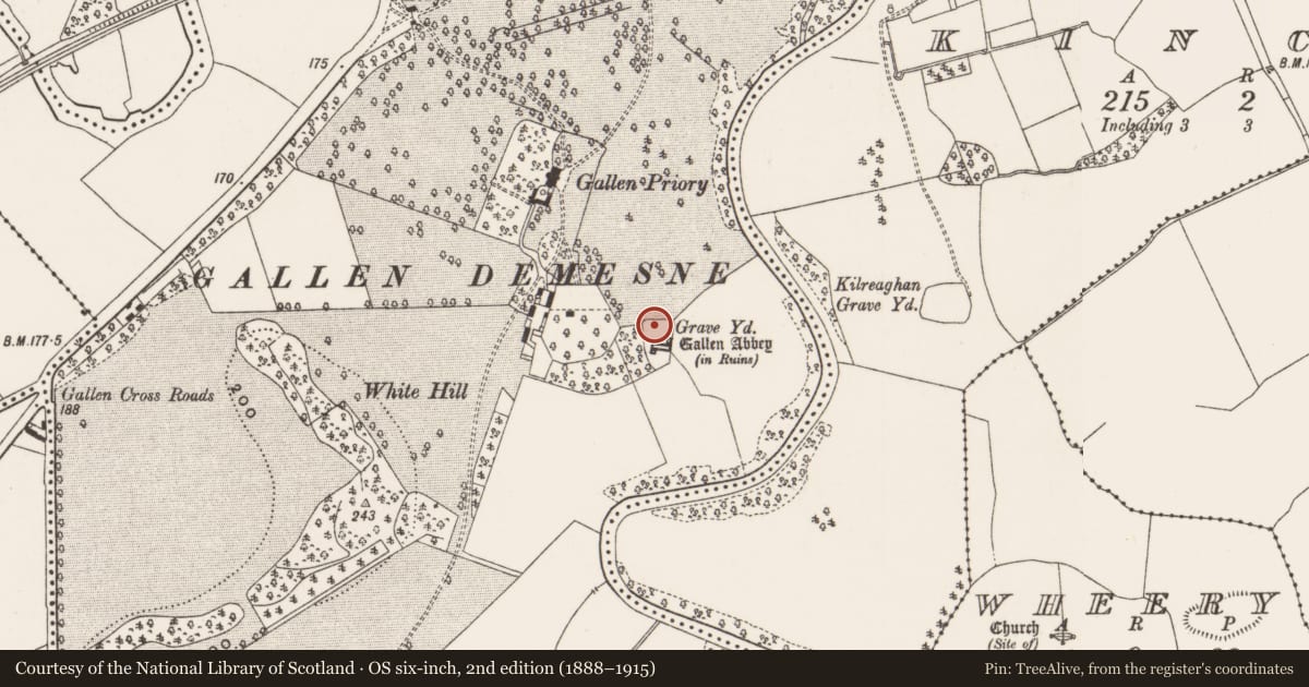Ordnance Survey six-inch map, 2nd edition (1888–1915) covering the location of Cross-slab, Gallen, County Offaly, with a pin at the register's coordinates