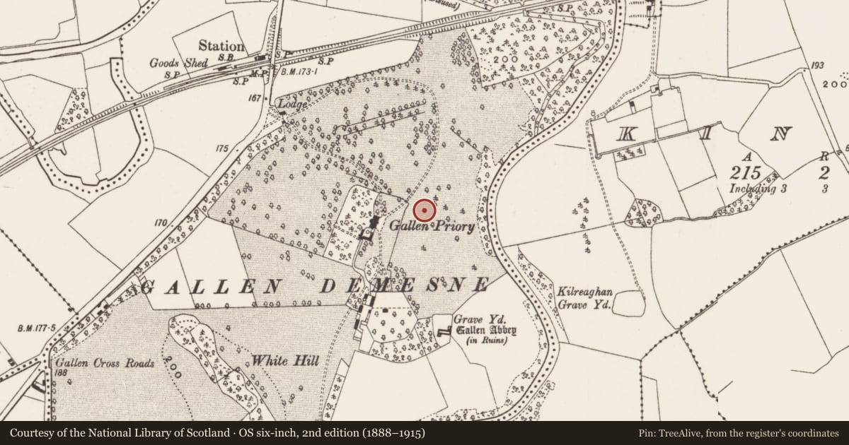 Ordnance Survey six-inch map, 2nd edition (1888–1915) covering the location of Cross-slab, Gallen, County Offaly, with a pin at the register's coordinates