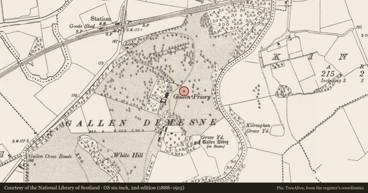 Ordnance Survey six-inch map, 2nd edition (1888–1915) covering the location of Cross-slab, Gallen, County Offaly, with a pin at the register's coordinates